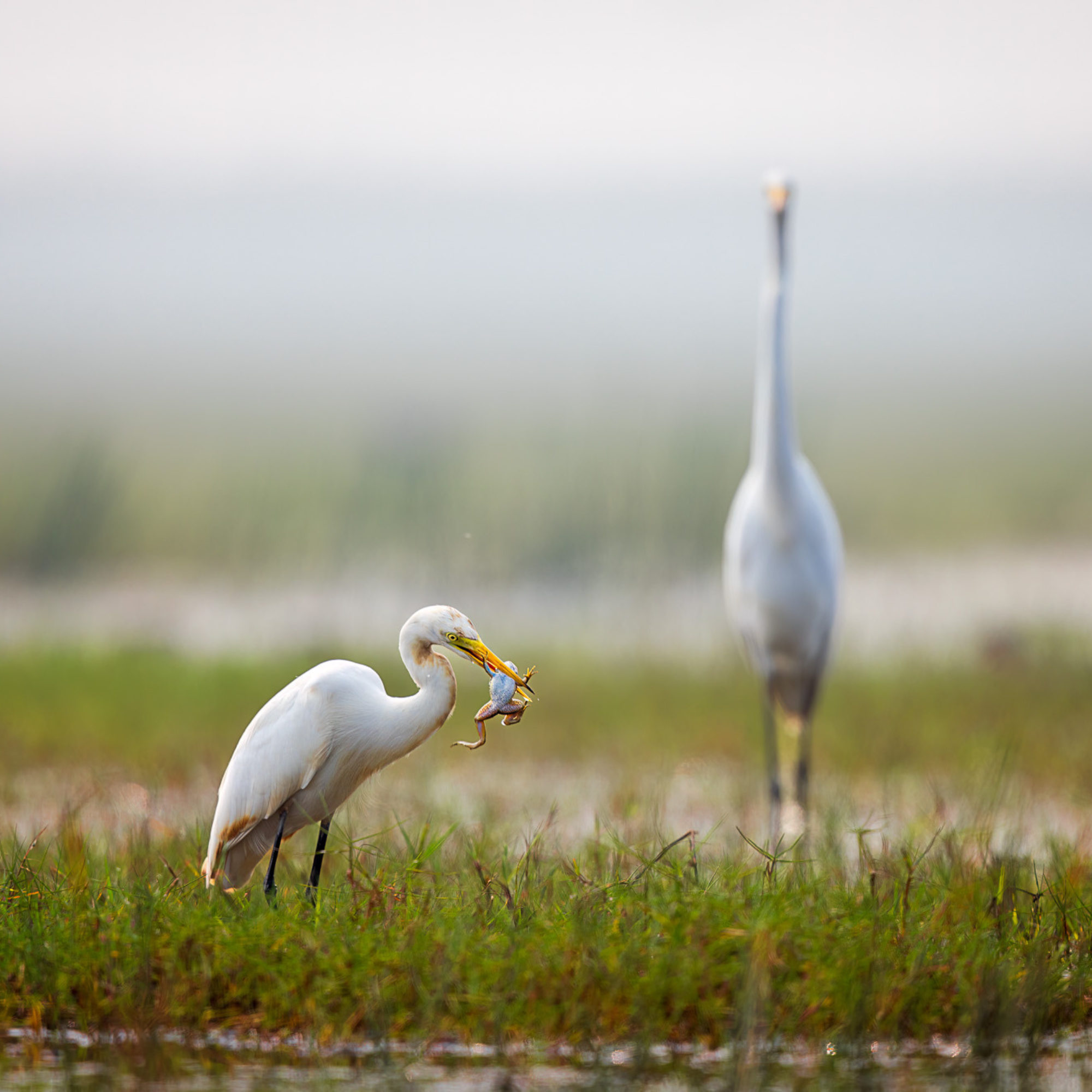 Travelling Tripod Photography