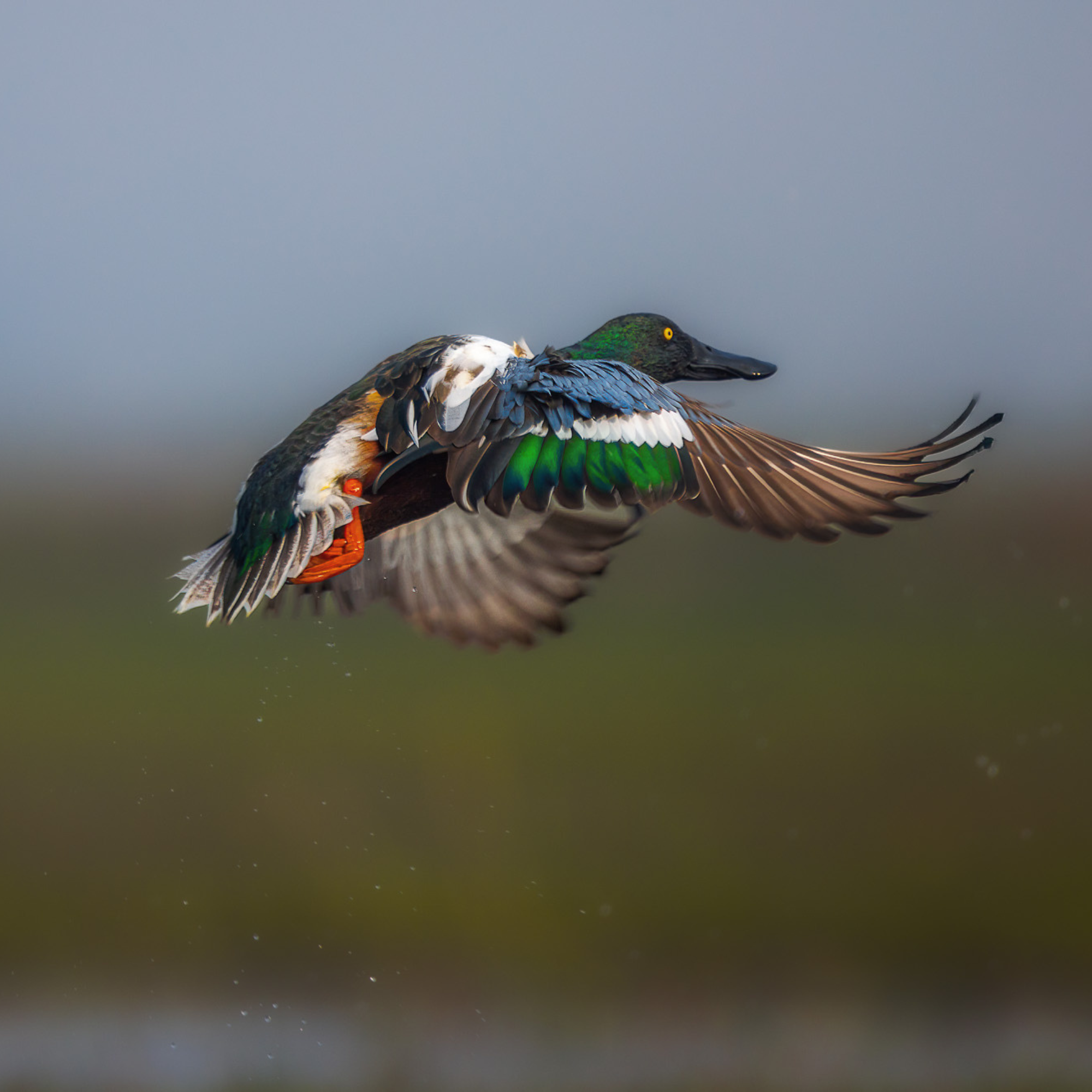 Travelling Tripod Photography