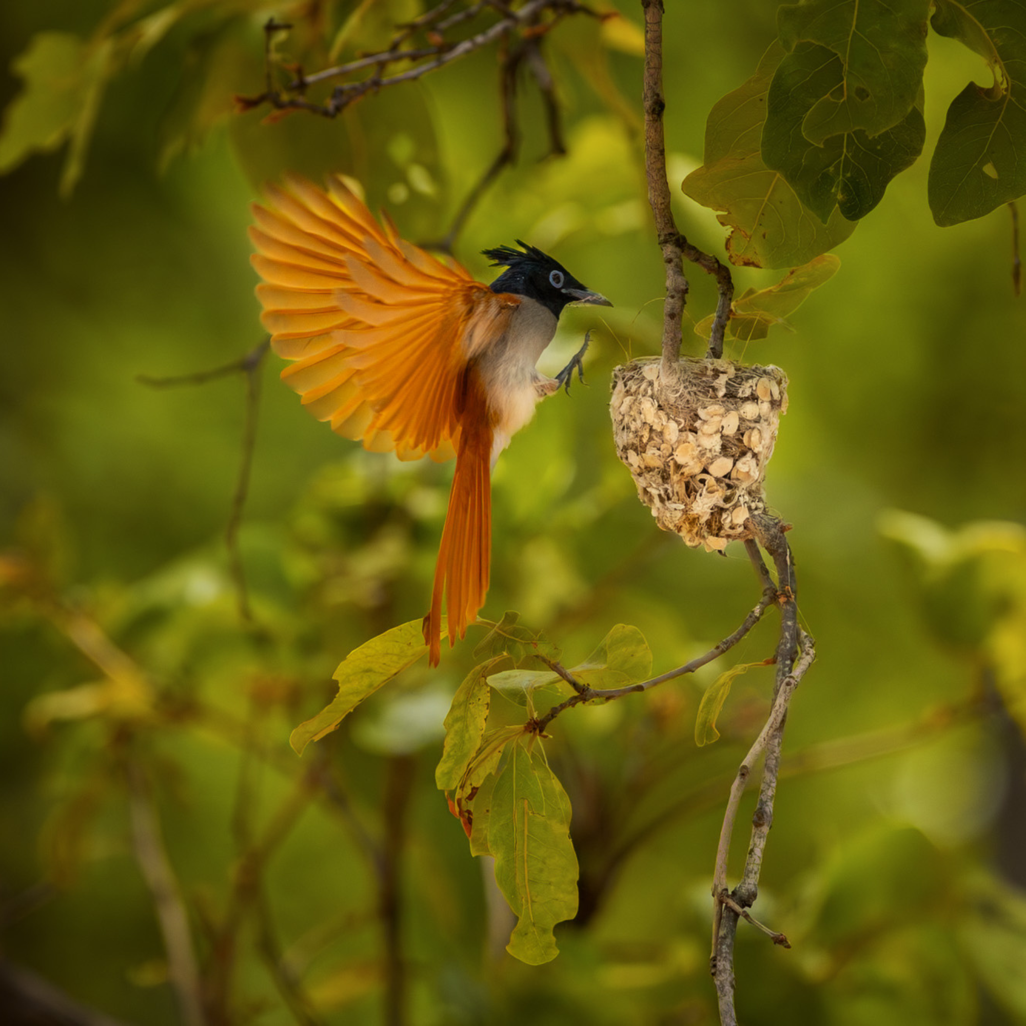 Travelling Tripod Photography