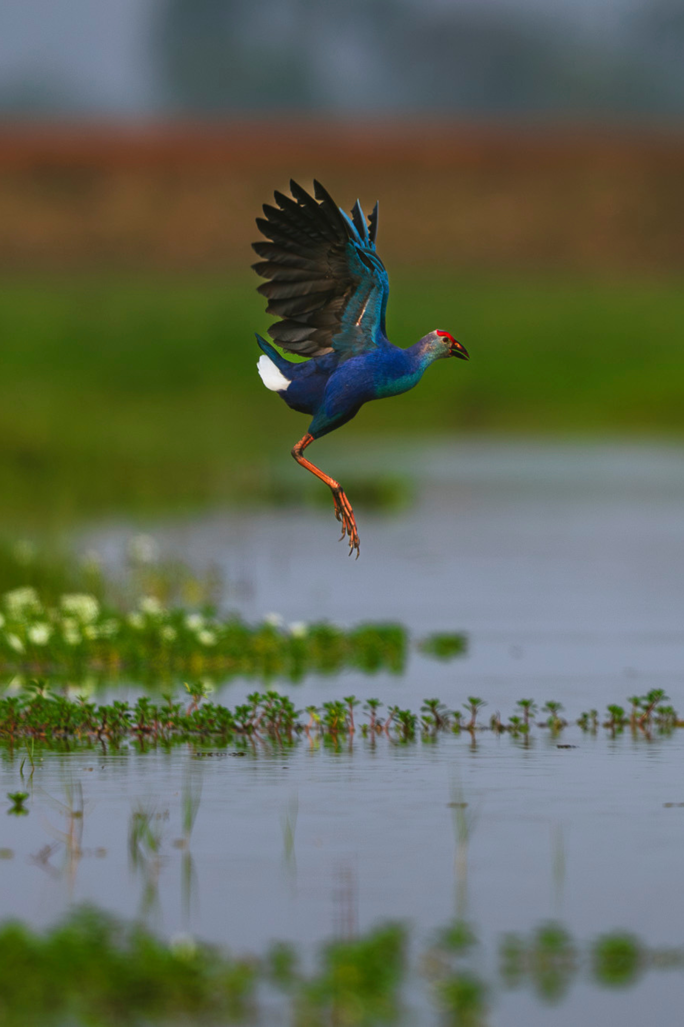 Travelling Tripod Photography