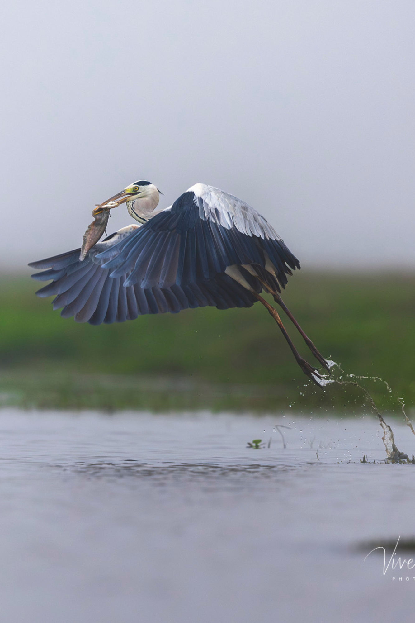 Travelling Tripod Photography