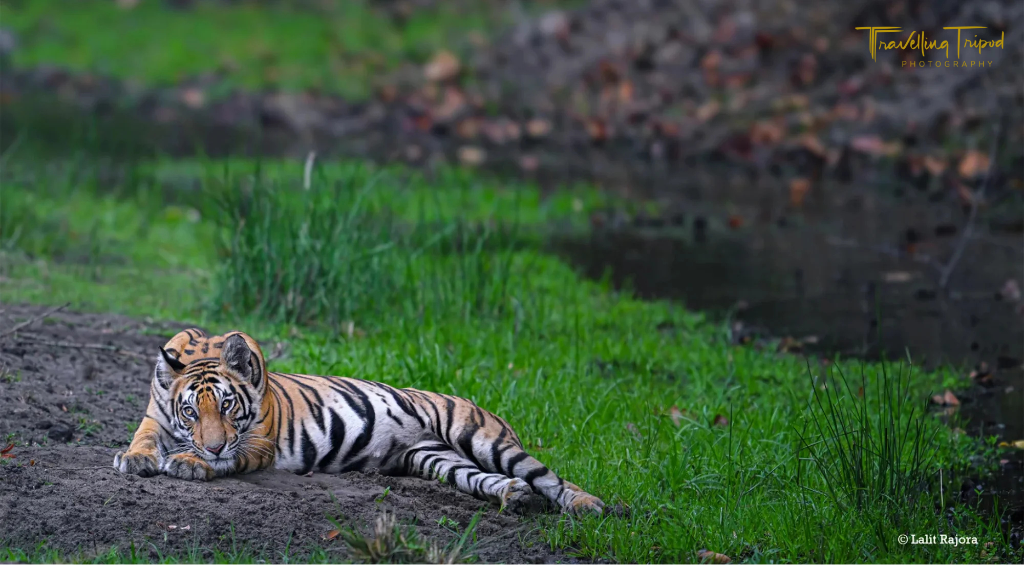 Travelling Tripod Photography