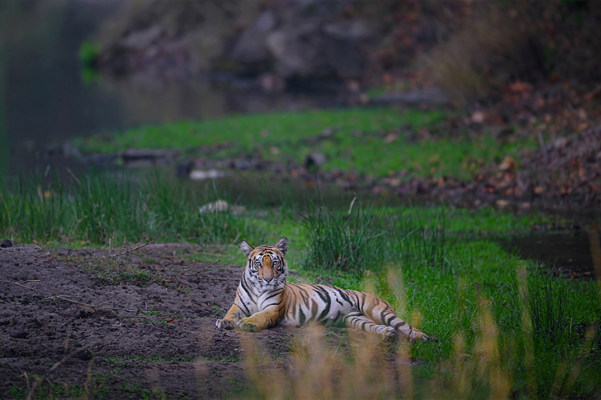 Travelling Tripod Photography
