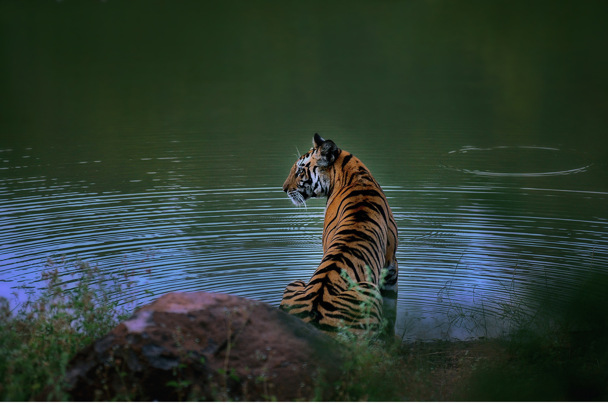 Travelling Tripod Photography