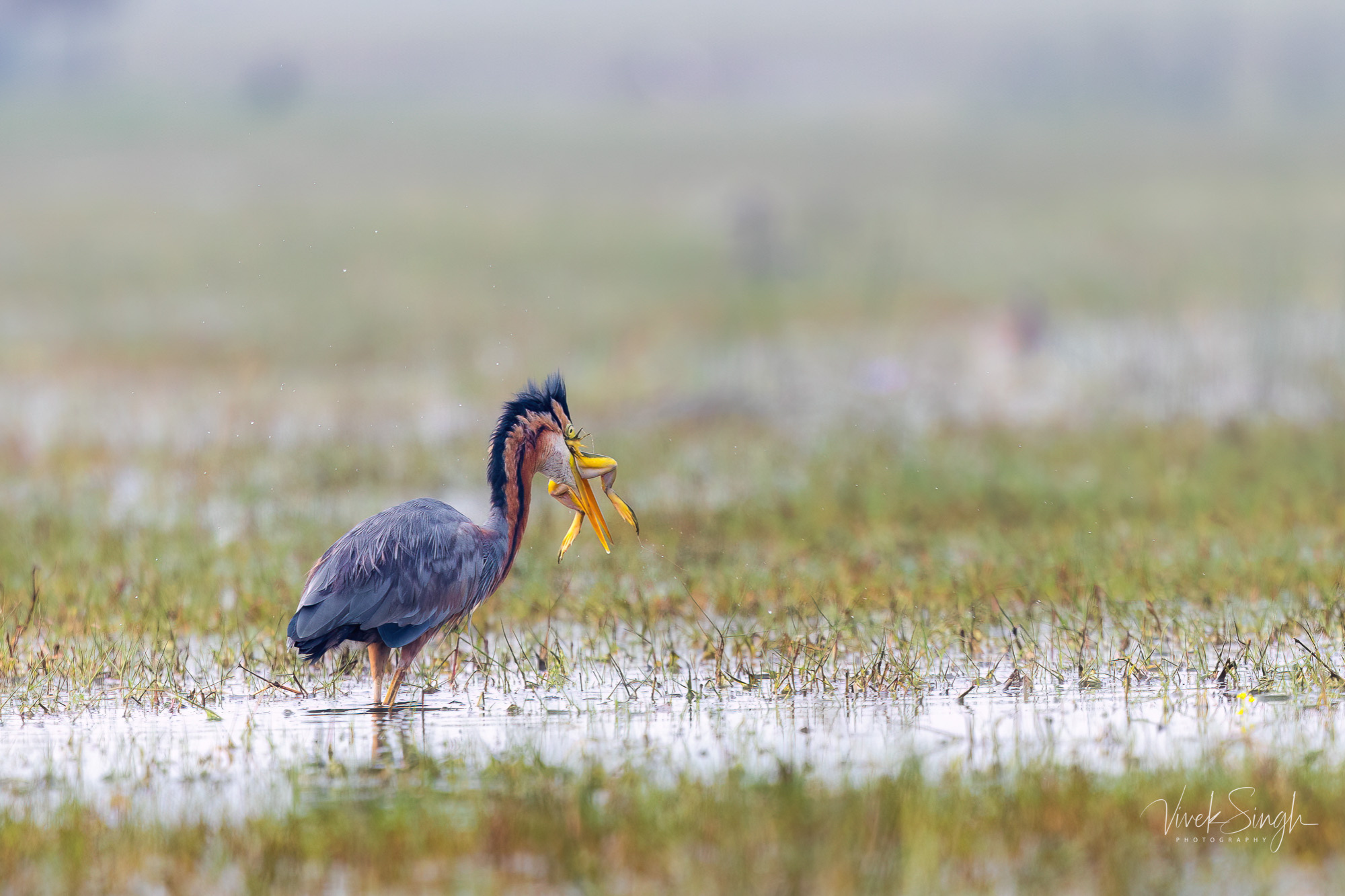 Travelling Tripod Photography