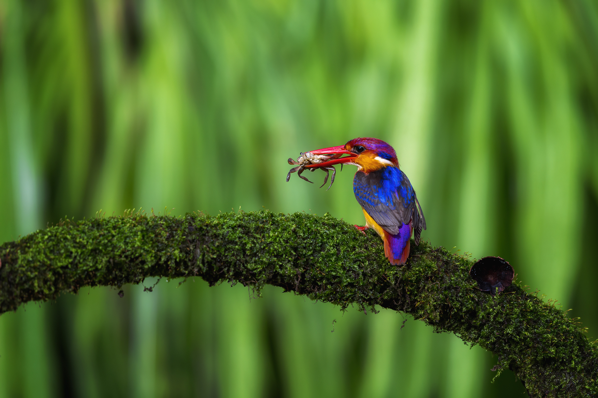 Travelling Tripod Photography
