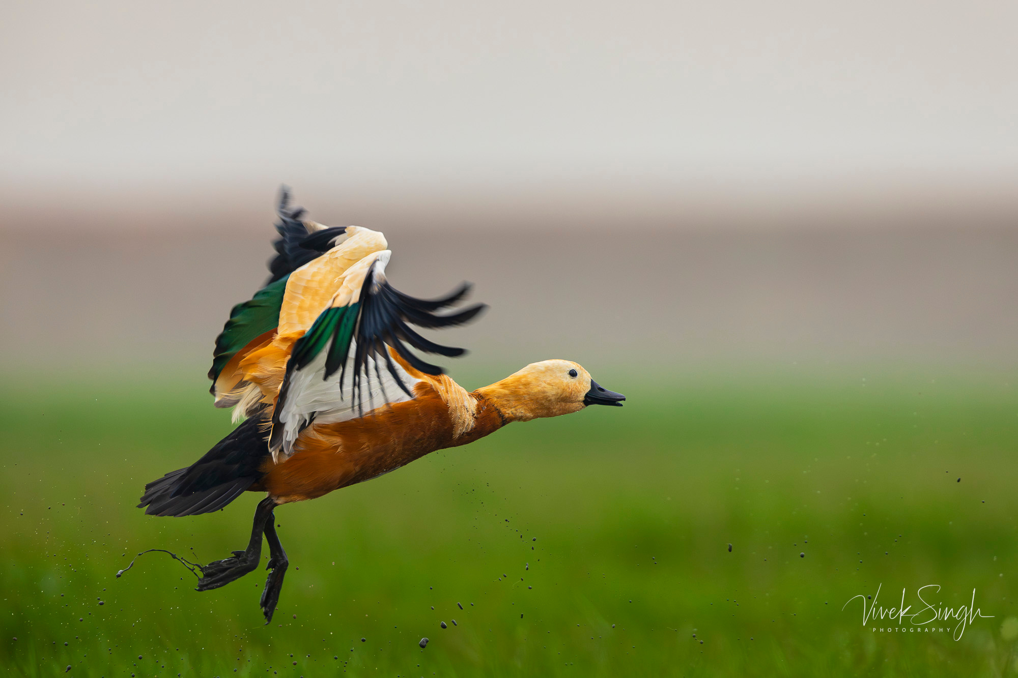 Travelling Tripod Photography