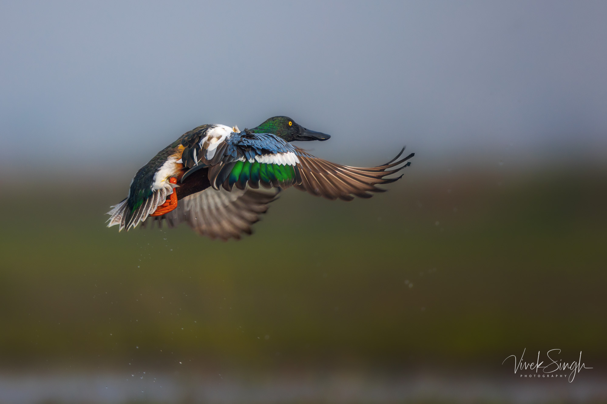 Travelling Tripod Photography