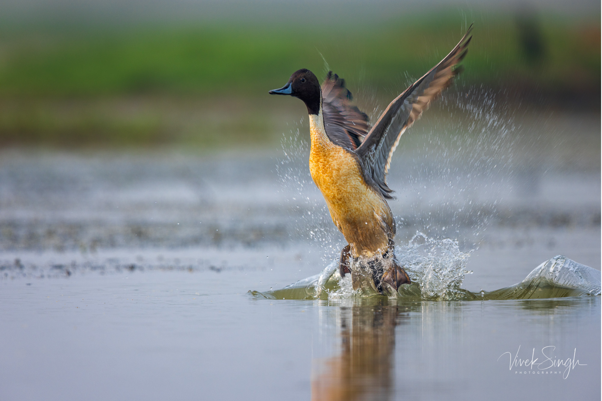 Travelling Tripod Photography