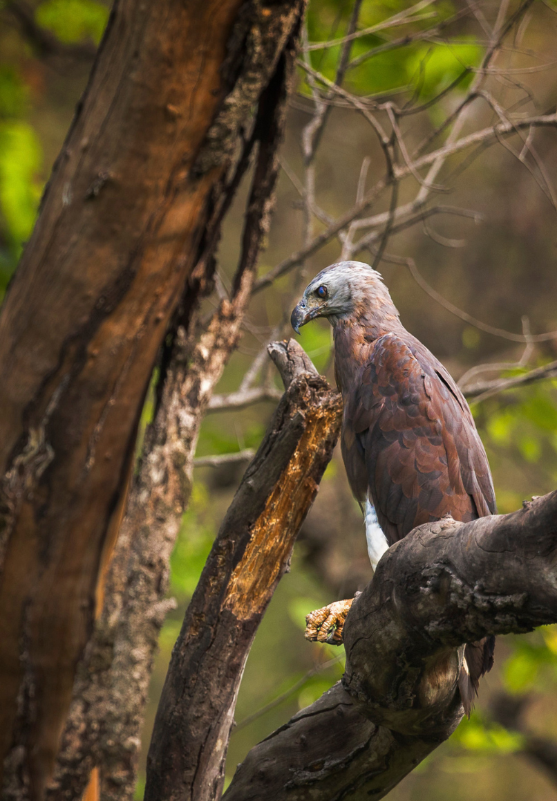Travelling Tripod Photography