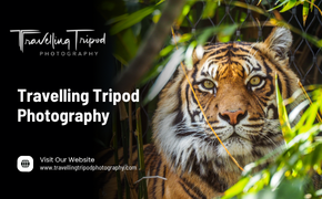 Travelling Tripod Photography