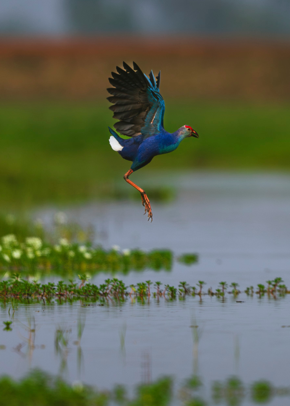 Travelling Tripod Photography