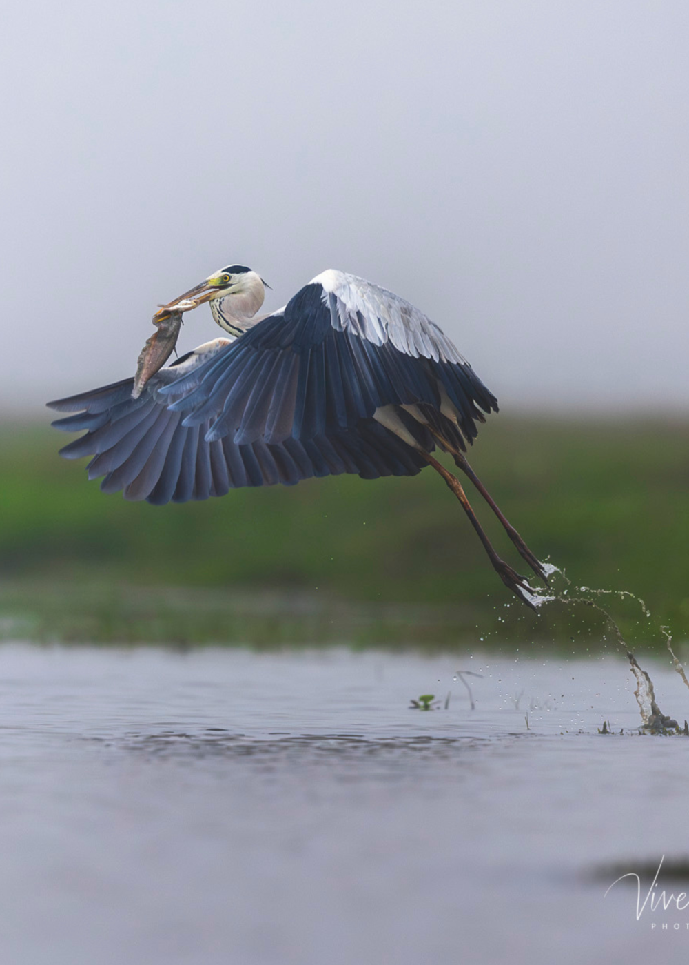 Travelling Tripod Photography